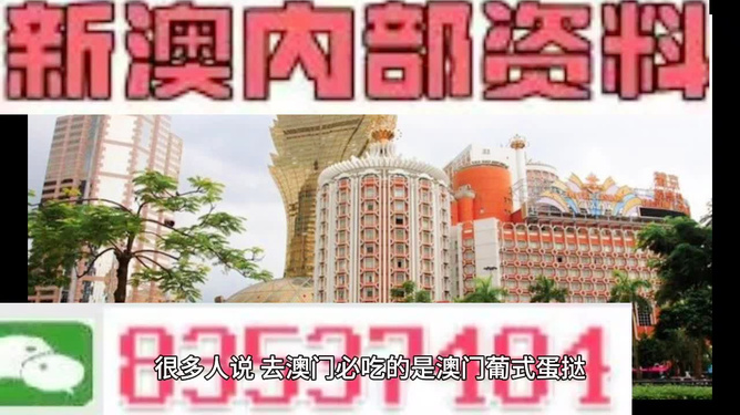 探索未來，2025年新澳門免費資料概覽，探索未來，2025新澳門免費資料概覽
