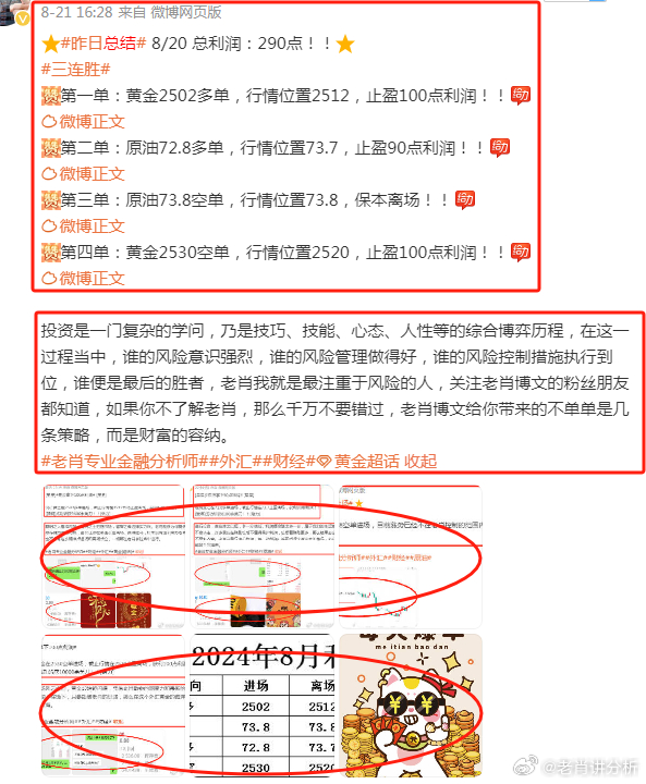 香港王中王一肖最準——揭秘精準預測的秘密，揭秘香港王中王一肖精準預測的秘密之道
