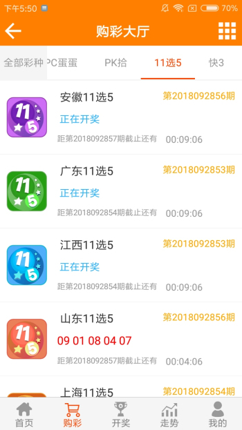 王中王論壇一平特一肖，深度解析與SEO策略，王中王論壇一平特一肖深度解析與SEO策略探討
