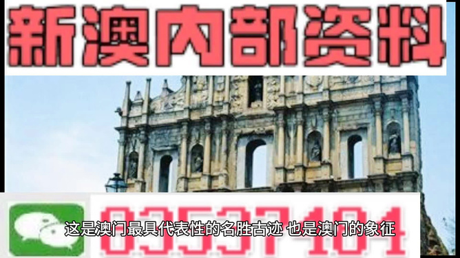 新澳門正版免費(fèi)資料查詢方法與技巧，澳門正版免費(fèi)資料查詢方法與技巧解析