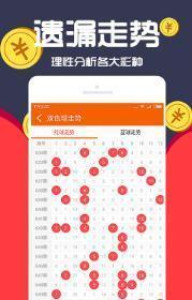 王中王一肖十，深度解析與SEO優(yōu)化策略，王中王一肖十深度解析與SEO優(yōu)化策略探討