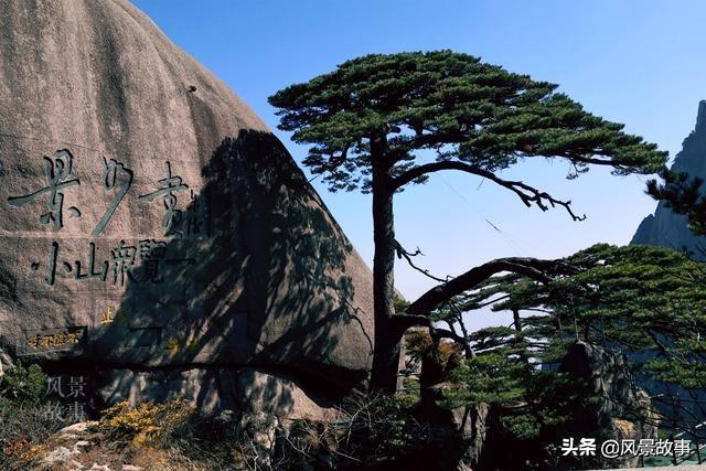 澳門四不像正版四不像網(wǎng)，探索真實(shí)與虛幻的交融之地，澳門四不像正版探索，真實(shí)與虛幻的交融世界