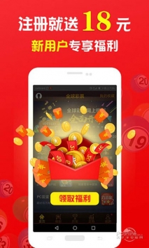 王中王的一肖，探尋背后的奧秘與故事，王中王的一肖，揭秘背后的奧秘與傳奇故事