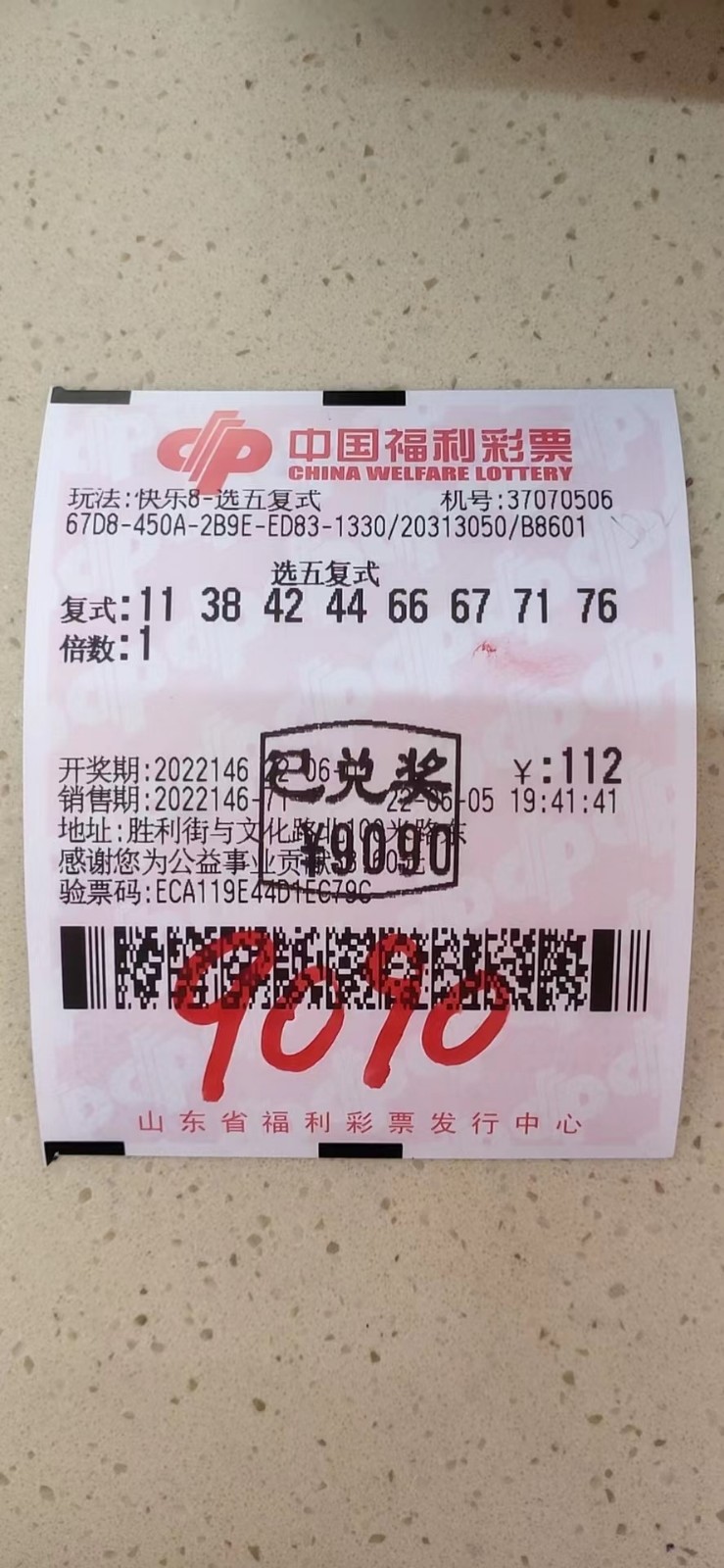 揭秘002期王中王平特一肖，背后的故事與奧秘，揭秘王中王平特一肖背后的故事與奧秘（第002期）