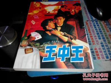王中王資料一肖中特小說(shuō)，深度解析與探索，王中王資料一肖中特小說(shuō)的深度解析與探索之旅