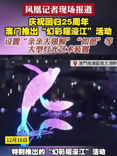 新澳門六開獎結(jié)果查詢濠江論壇——快速獲取開獎信息的首選平臺，澳門六開獎結(jié)果查詢首選平臺，濠江論壇快速更新開獎信息