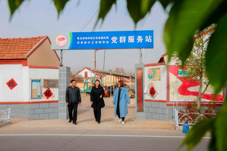 2025新澳天天開彩大全——衣冠群獸探秘，2025新澳天天開彩大全，衣冠群獸探秘之旅