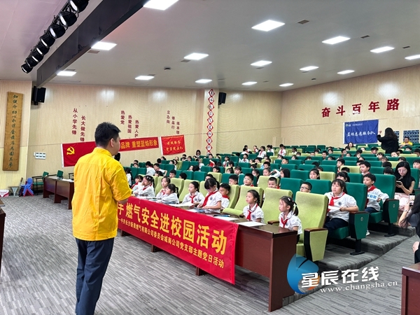 新奧正版資料的SEO優(yōu)化文章，新奧正版資料的SEO優(yōu)化指南