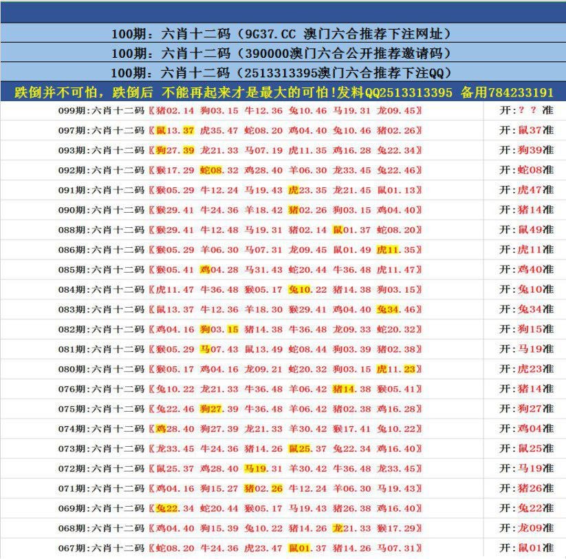 澳門無錯九肖今日搜狗，探索與解析，澳門無錯九肖今日搜狗，深度解析與探索