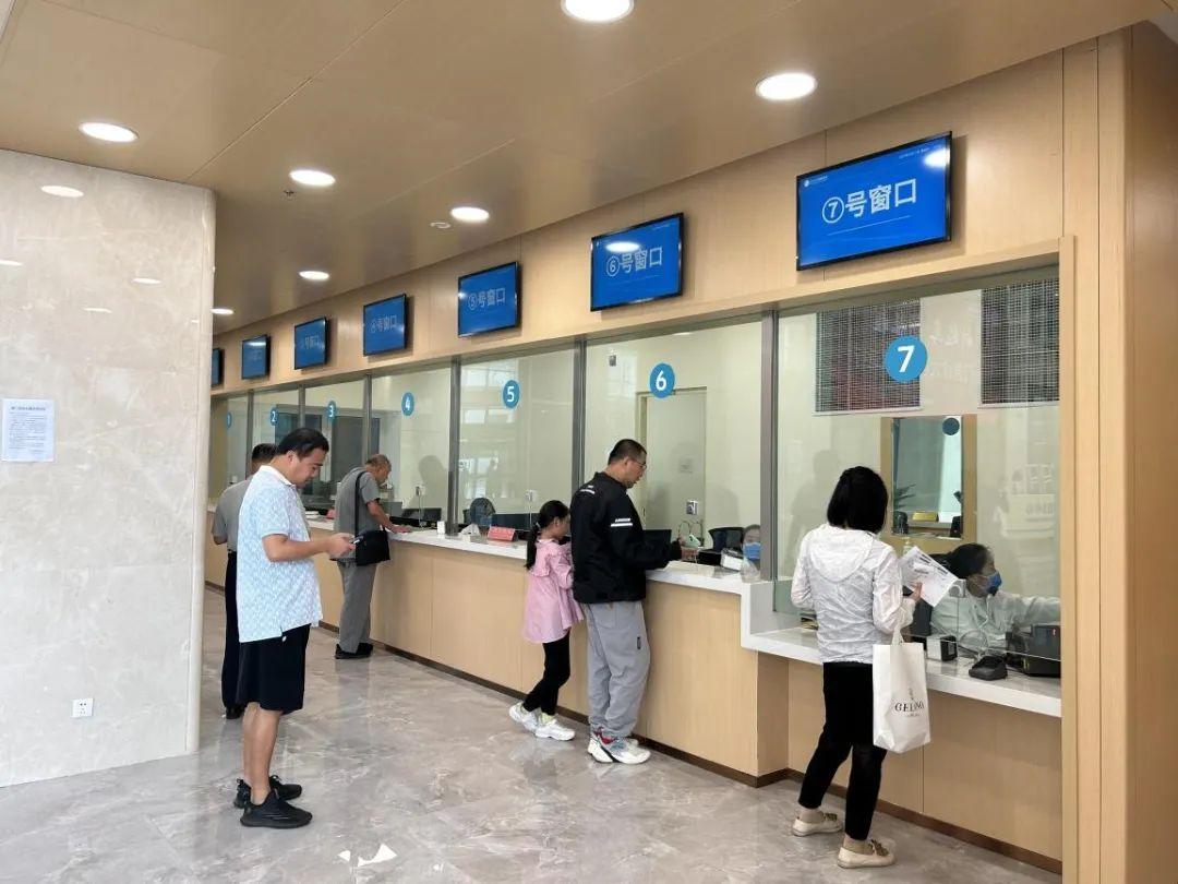 新門內(nèi)部資料免費下載——探索與揭秘，新門內(nèi)部資料揭秘，免費下載與探索之旅