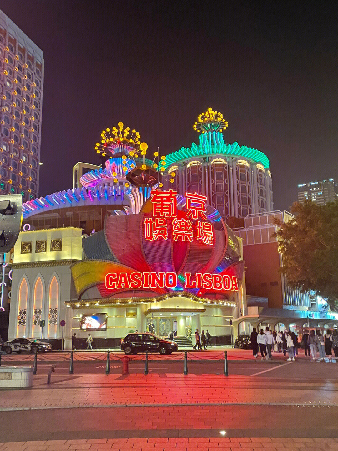 澳門今晚必開一肖一特芳草地，探索生肖與運(yùn)勢(shì)的神秘面紗，澳門生肖運(yùn)勢(shì)揭秘，探索今晚必開一肖一特芳草地神秘面紗的運(yùn)勢(shì)之旅