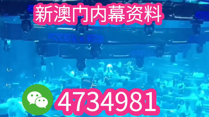 揭秘未來之星，2025新澳王中王，揭秘未來之星，2025新澳王中王風(fēng)采展示
