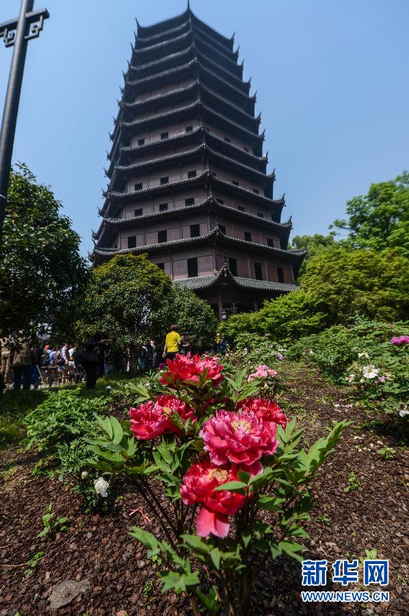 六和彩開碼資料網(wǎng)——探索彩票世界的門戶，六和彩開碼資料網(wǎng)，彩票世界探索之門