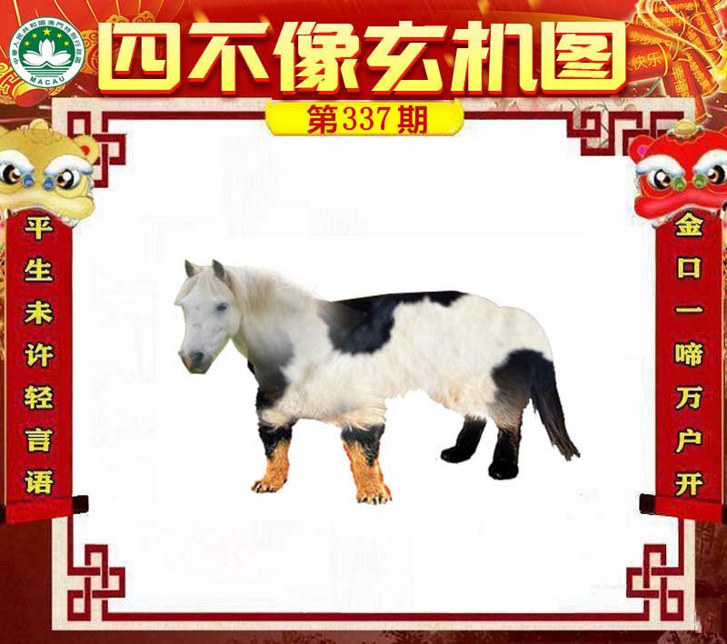 王中王平特一肖四不像，深度解析與探索，王中王平特一肖四不像，深度解析與探索之旅
