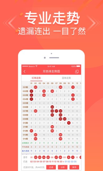 王中王六肖中特免費(fèi)公開，深度解析與SEO優(yōu)化策略，王中王六肖中特解析與SEO優(yōu)化策略免費(fèi)公開