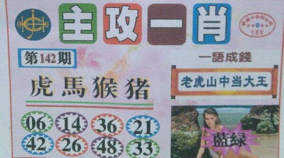 最新一肖圖王中王，深度解讀與SEO優(yōu)化策略，深度解讀最新一肖圖王中王，SEO優(yōu)化策略揭秘