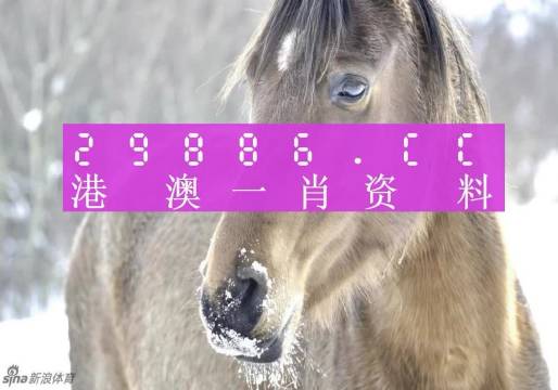 澳門一肖一碼100%精準的背景故事，澳門精準一肖一碼傳奇背景故事
