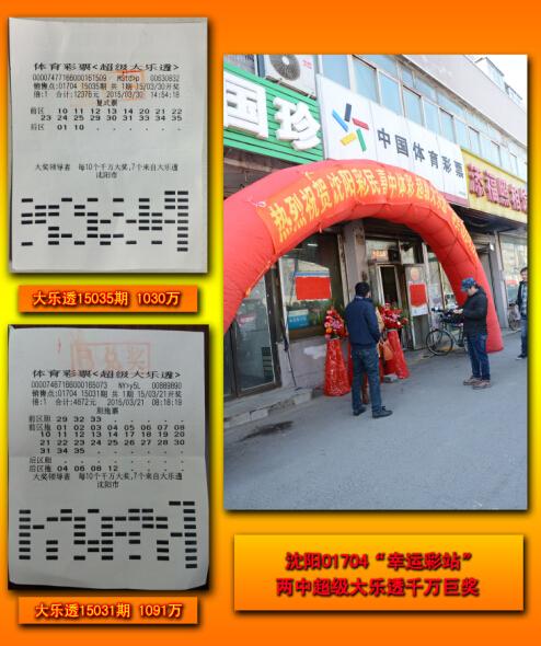 王中王平特一肖二選一，深度解析與SEO優(yōu)化策略，王中王平特一肖二選一深度解析與SEO策略優(yōu)化指南