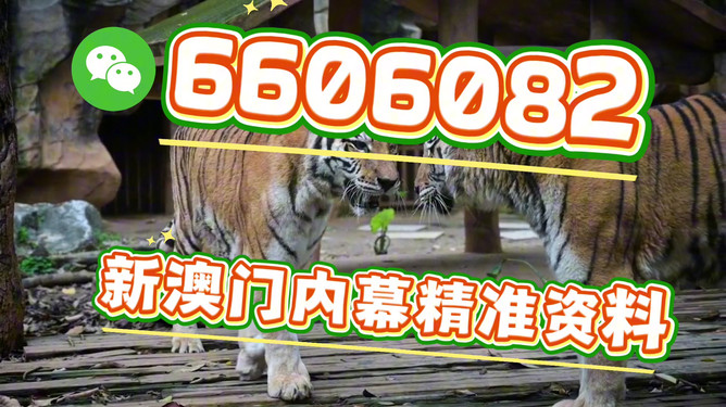 澳門今晚必開一肖一特，深度解析與預(yù)測，澳門今晚生肖特碼深度解析與預(yù)測，一肖一特必開趨勢探討