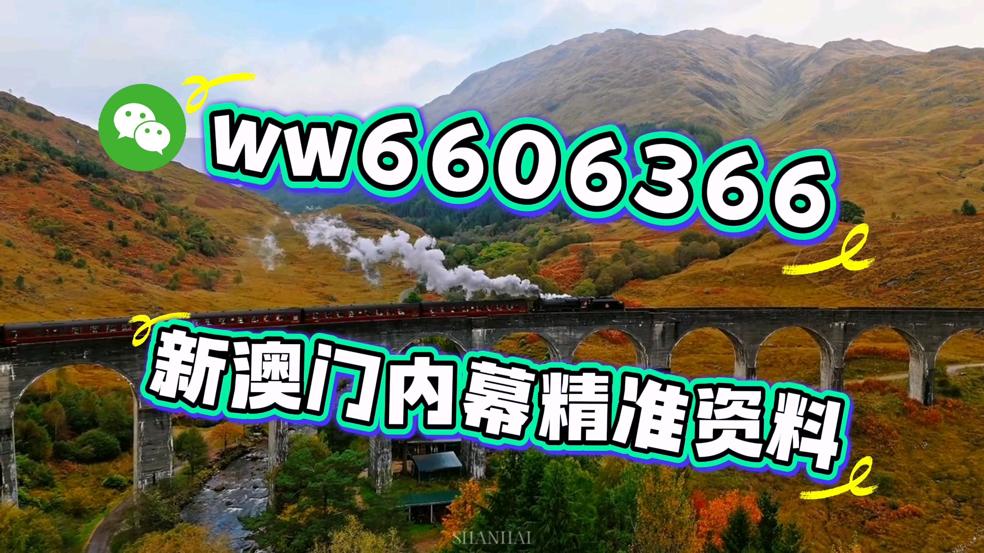 新澳門今晚開獎結(jié)果開獎記錄查詢——全面解讀與實時追蹤，澳門今晚開獎結(jié)果及開獎記錄實時查詢與全面解讀