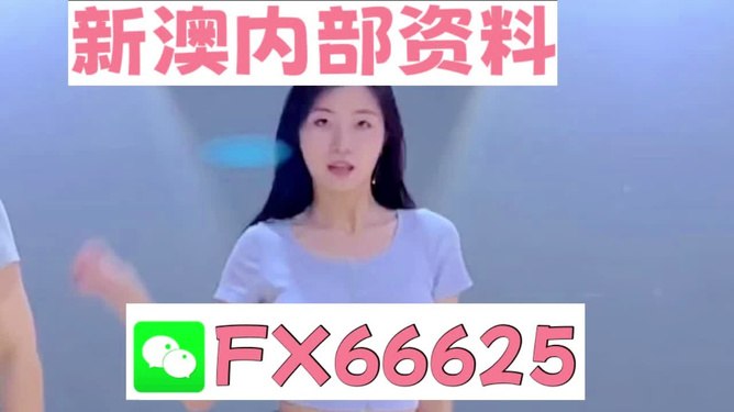 新澳門精準資料大全——管家婆料解析與探索，澳門精準資料大全，管家婆料解析與深度探索