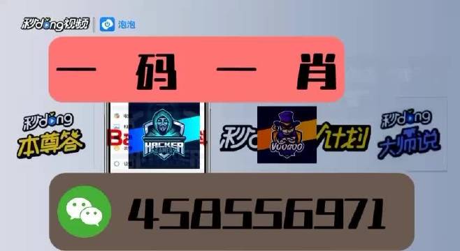 本期一肖一碼王中王，揭秘與探索，揭秘一肖一碼王中王，探索生肖與數(shù)字的神秘聯(lián)系