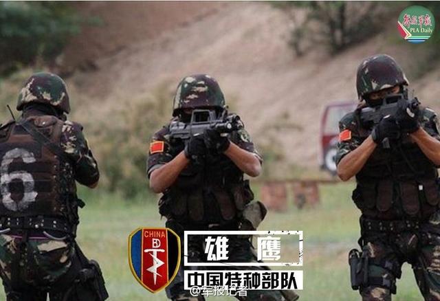 中國七大特種部隊，神秘的力量與卓越的能力，中國七大特種部隊，神秘力量與超凡能力的展現(xiàn)