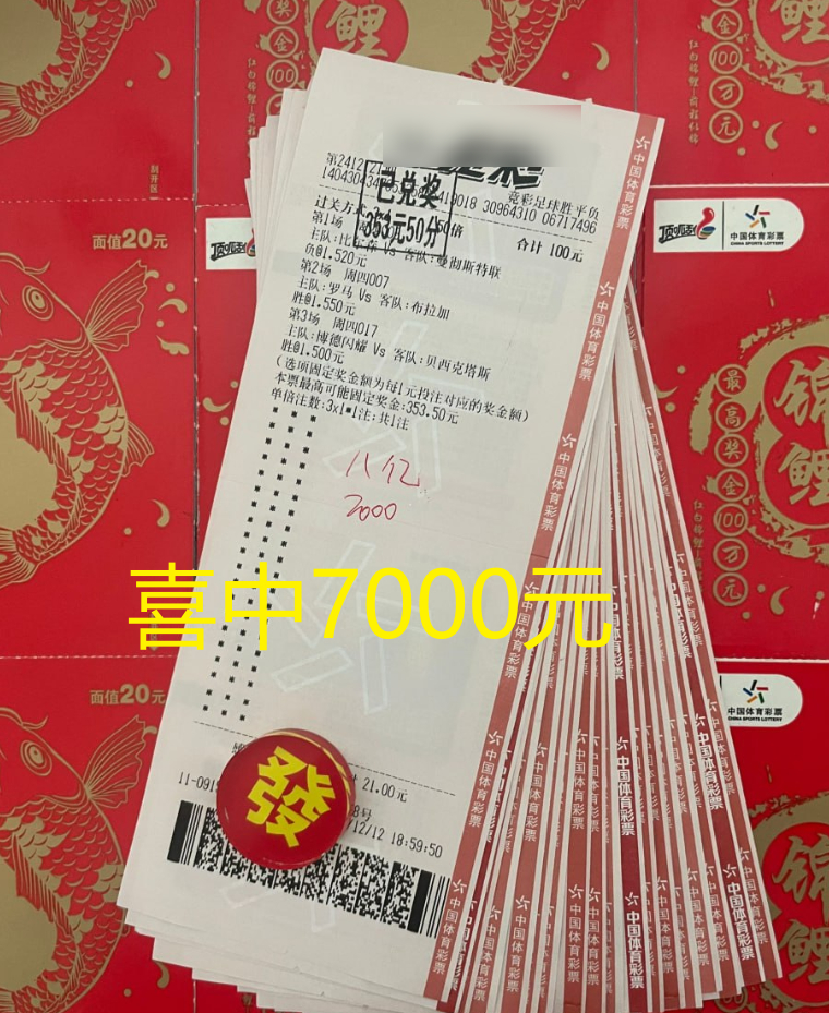 澳彩公證處一碼三中三，專業(yè)、公正、透明的彩票服務(wù)，澳彩公證處，專業(yè)、公正、透明的彩票服務(wù)，一碼三中三助您中獎！
