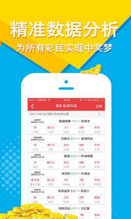 王中王一碼與肖，探尋背后的故事與奧秘，王中王一碼與肖，背后的故事與奧秘探尋