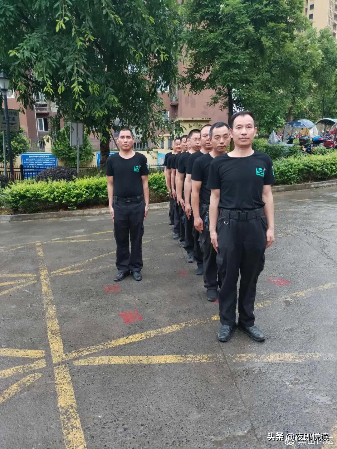 關(guān)于尋找一肖二碼中特站的探討，一肖二碼中特站的深度探討與尋找之路