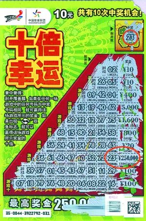 王中王平特一肖好彩頭——揭秘好運(yùn)背后的秘密，揭秘好運(yùn)背后的秘密，王中王平特一肖好彩頭解析