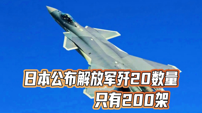 關(guān)于日本公布殲-20數(shù)量的探討，日本公布殲-20數(shù)量的深度探討
