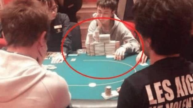 澳門四不像論壇精準資料，探索與解析，澳門四不像論壇精準資料深度解析與探索