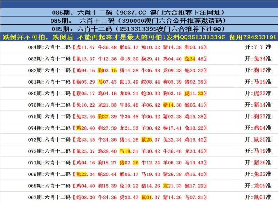 澳門六合正版資料，深度解析與探索，澳門六合正版資料深度解析與探索之旅
