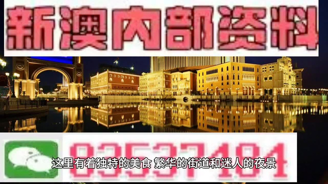 新澳門精準(zhǔn)資料大全管家婆料，探索與解析，澳門精準(zhǔn)資料大全解析，探索管家婆料內(nèi)幕