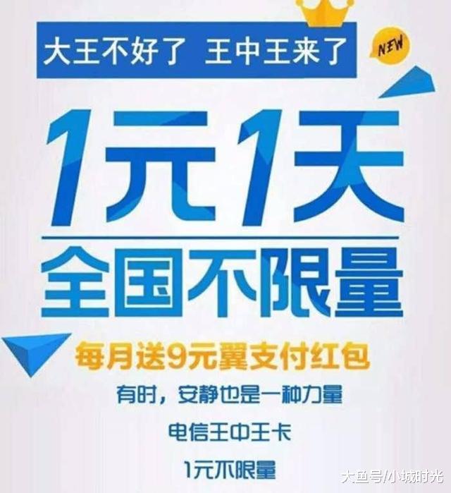 王中王新四不像一肖，揭秘背后的神秘面紗與SEO策略洞察，揭秘王中王新四不像一肖背后的神秘面紗與SEO策略洞察