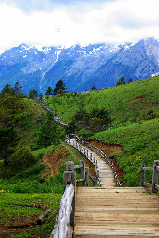 玉龍雪山門票免費政策詳解，玉龍雪山門票免費政策全面解析