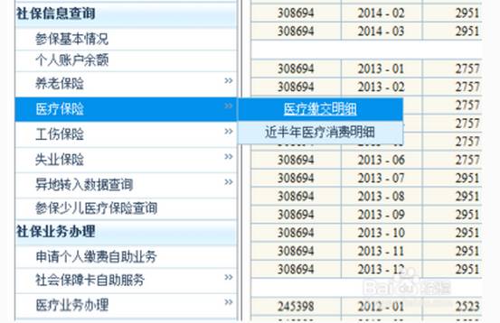 2025新澳門歷史記錄查詢完全指南，澳門歷史記錄查詢完全指南（2025版）