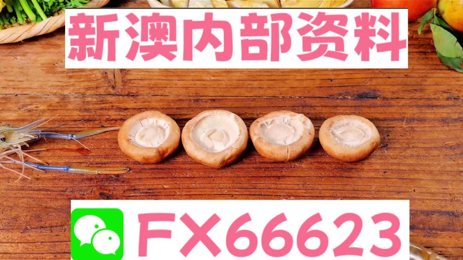 新澳全年免費(fèi)資料大全——探索與學(xué)習(xí)資源的寶庫(kù)，新澳全年免費(fèi)資料大全，探索與學(xué)習(xí)資源的終極寶庫(kù)