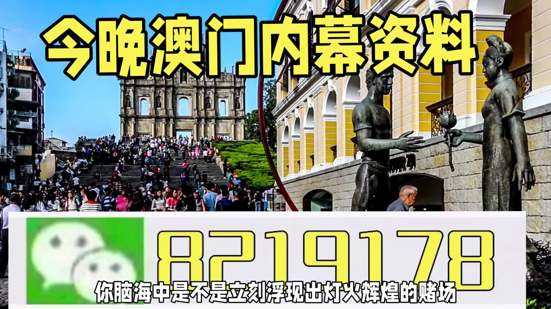 新澳門一肖一特一中，探索與解讀，新澳門一肖一特一中，深度探索與解讀