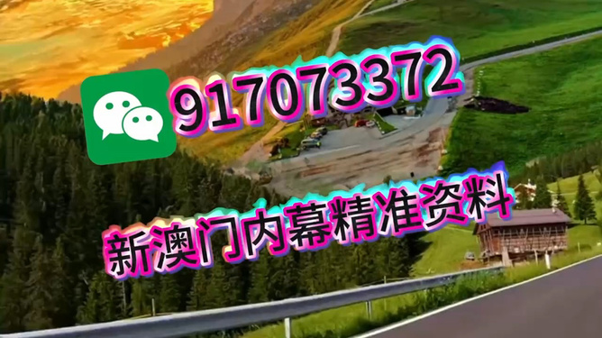 王中王一肖一中特，深度解析與SEO優(yōu)化策略，王中王一肖一中特深度解析與SEO優(yōu)化策略探討