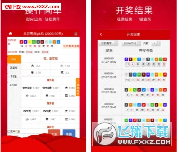 王中王三肖必出一肖，深度解析與探索，王中王三肖必出一肖，深度解析與探索揭秘