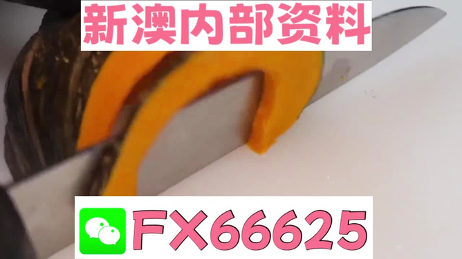 澳門管家婆，揭秘精準(zhǔn)預(yù)測(cè)的秘密武器，澳門管家婆揭秘，精準(zhǔn)預(yù)測(cè)的秘密武器全解析