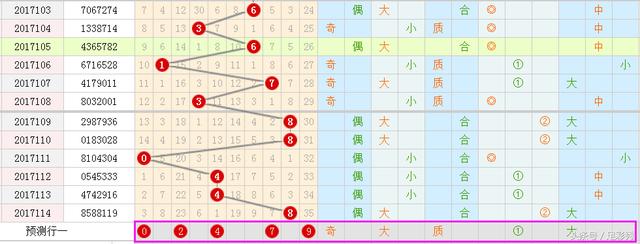 王中王彩霸王一肖中特——揭秘彩票背后的秘密，彩票背后的秘密揭秘，王中王彩霸王一肖中特探秘之旅