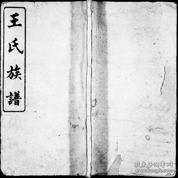 小魚(yú)兒一肖王中王興典，探索背后的故事與奧秘，小魚(yú)兒一肖王中王興典，背后的故事與奧秘揭秘
