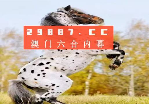 揭秘白小姐王中王四不像圖一，探尋肖中特的神秘面紗，揭秘白小姐王中王四不像圖與肖中特神秘面紗的背后真相