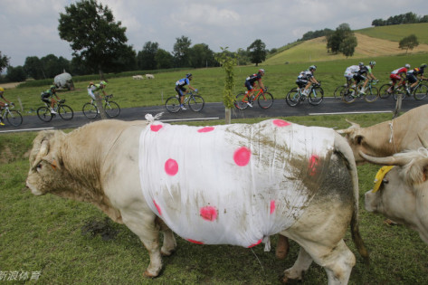 王中王四不像平特一肖圖——揭秘背后的神秘世界，揭秘王中王四不像平特一肖圖的神秘世界