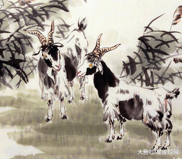 澳門(mén)最快開(kāi)獎(jiǎng)六開(kāi)生肖，揭秘彩票背后的秘密，澳門(mén)六開(kāi)生肖彩票背后的秘密揭曉
