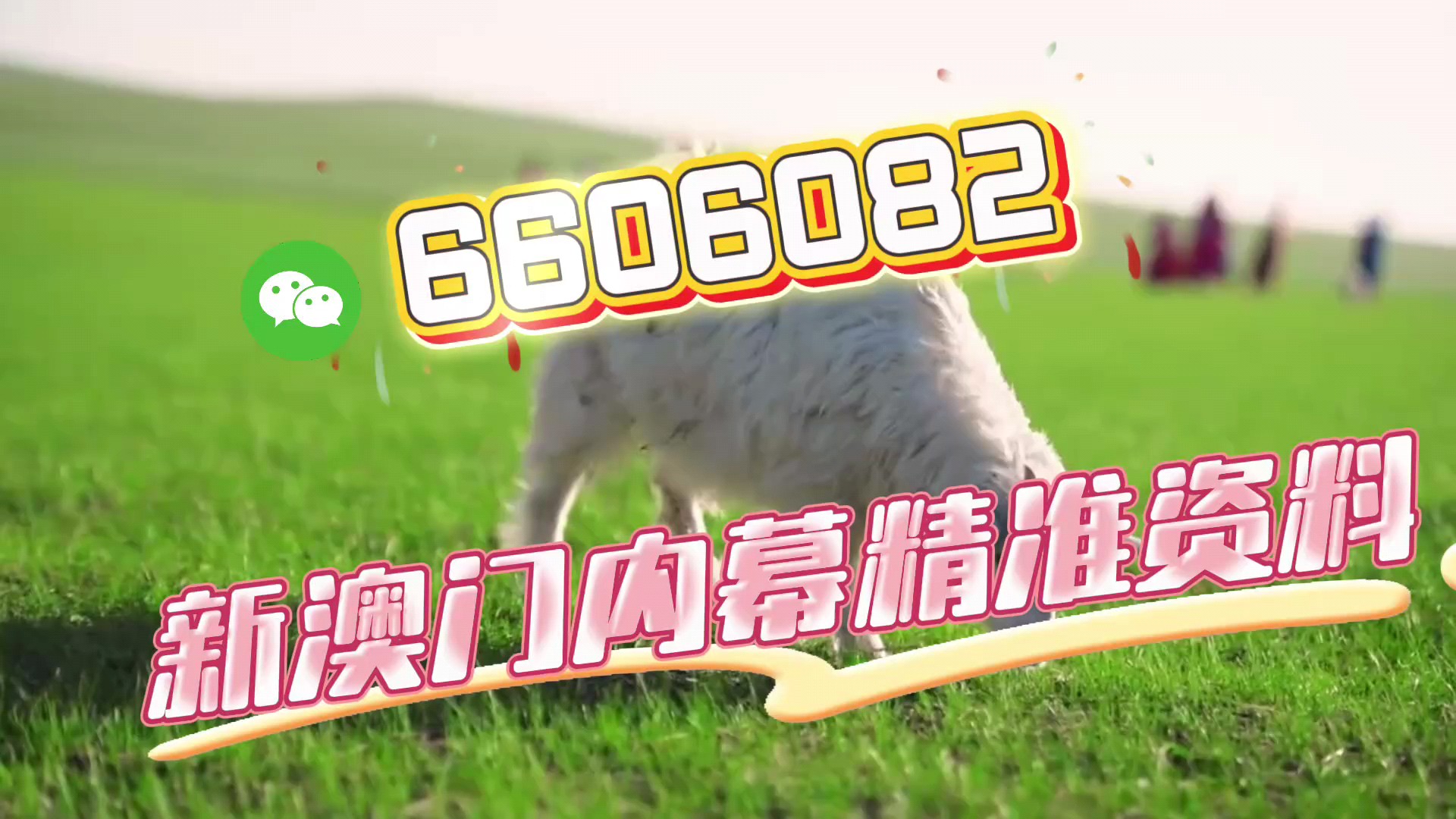 彩票背后的秘密與策略解析