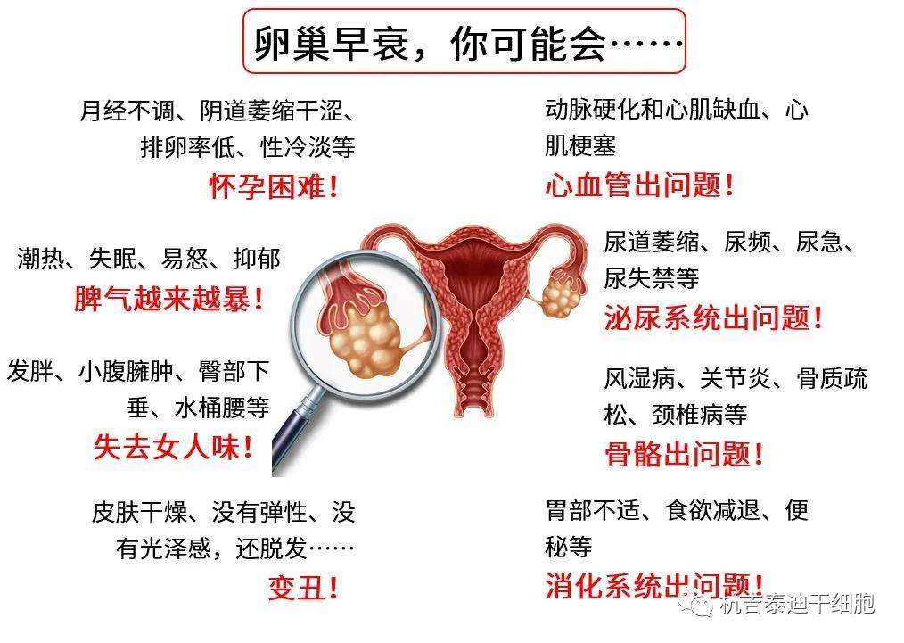 四十歲卵巢早衰能否調整回來？解讀卵巢早衰與應對策略，四十歲卵巢早衰能否調整回來？解讀卵巢早衰現(xiàn)象及應對策略